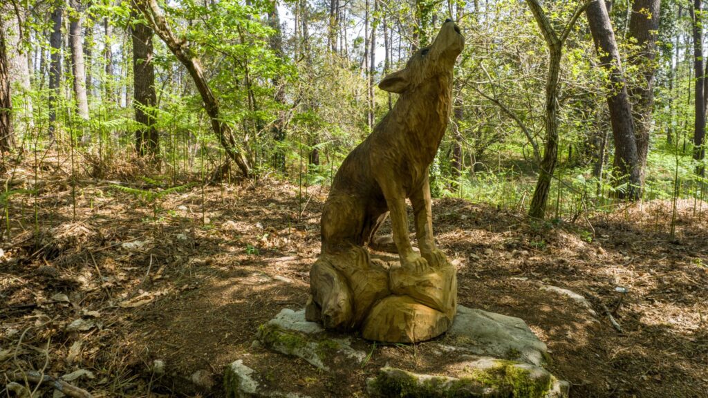 Escultura lobo